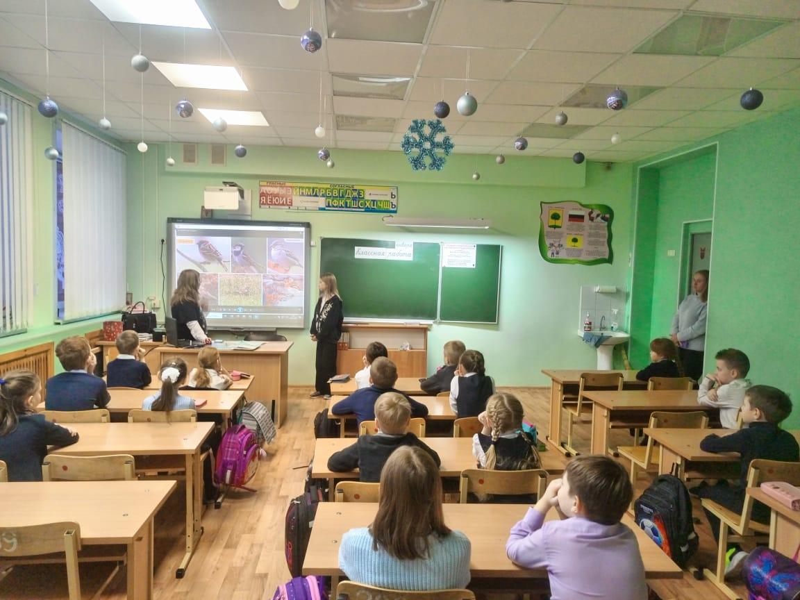 Птицы.